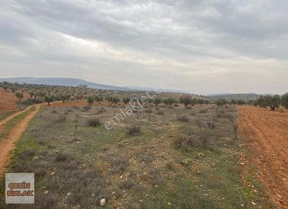 Arsa-Tarla