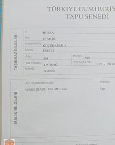 Arsa-Zeytinlik