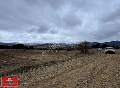 Arsa-Tarla