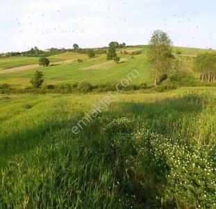 Arsa-Tarla
