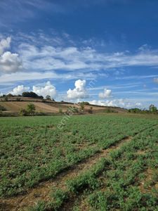 Sakarya Kaynarca'da Yatırım Fırsatı Asfalt Yola Cephe