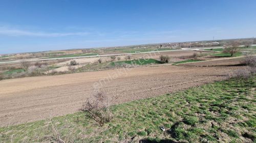 Arsa-Tarla