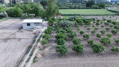 Arsa-Tarla