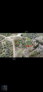Arsa-Bağ & Bahçe