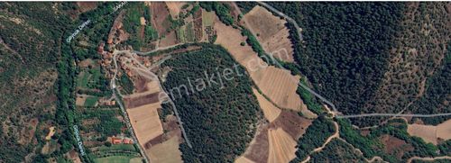 Bilecik Gölpazarı Köprüçek Köyünde 569 Metre Arsa.