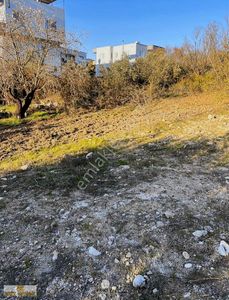 Arsa-Konut İmarlı