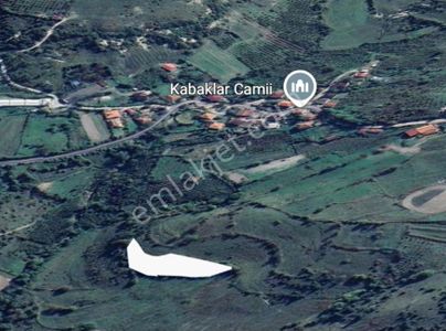 Arsa-Tarla