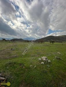 Arsa-Tarla