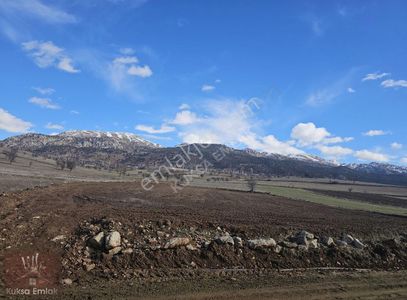 Arsa-Tarla