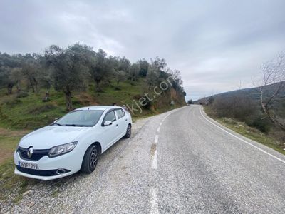 Arsa-Zeytinlik