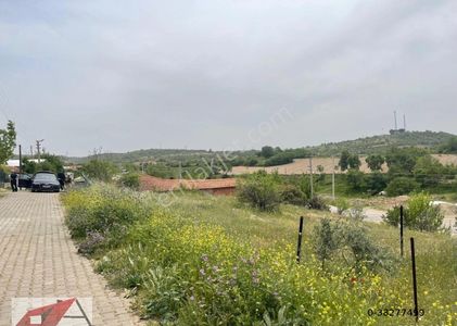 Arsa-Konut İmarlı