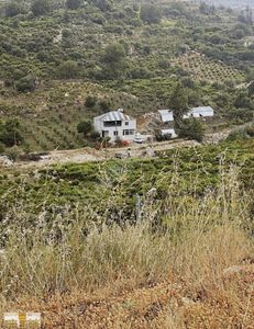 Arsa-Konut İmarlı