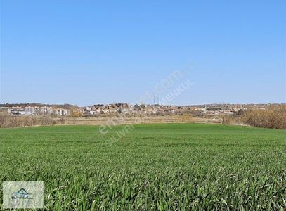 Arsa-Tarla