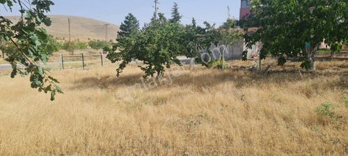 Arsa-Bağ & Bahçe