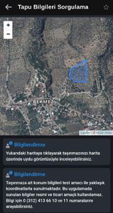 Arsa-Zeytinlik