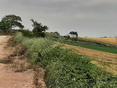 Arsa-Tarla