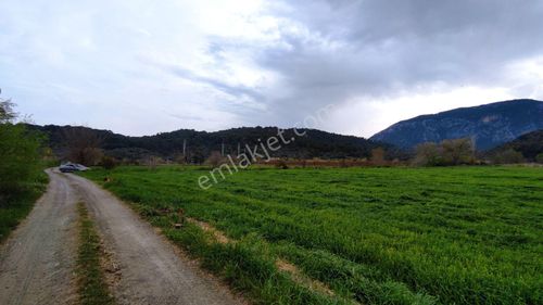 Arsa-Tarla