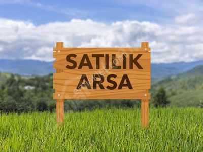 Arsa-Tarla