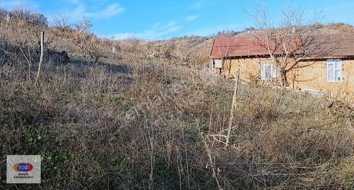 Arsa-Tarla