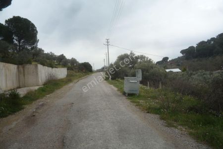 Arsa-Bağ & Bahçe