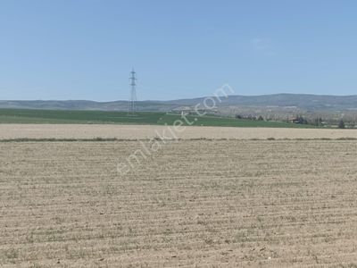 Arsa-Tarla