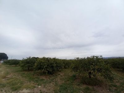 Arsa-Bağ & Bahçe