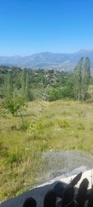 Arsa-Tarla