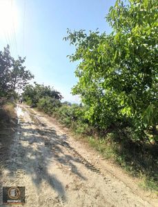 Arsa-Tarla