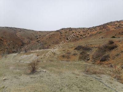 Arsa-Tarla