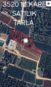 Arsa-Tarla