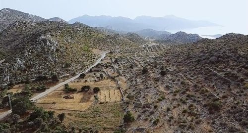 Arsa-Tarla