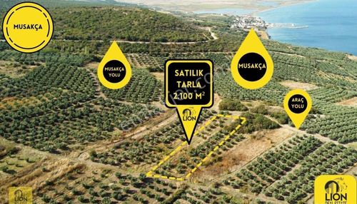 Arsa-Bağ & Bahçe