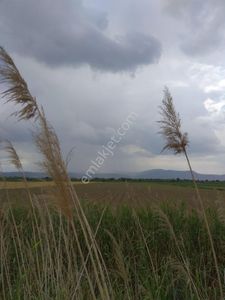 Arsa-Tarla