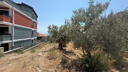 Arsa-Konut İmarlı
