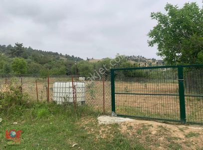 Arsa-Bağ & Bahçe