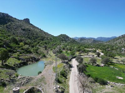 Arsa-Tarla