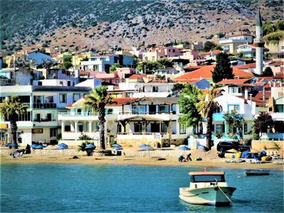 Arsa-Zeytinlik