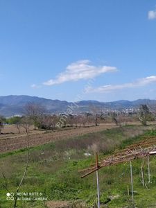Arsa-Tarla