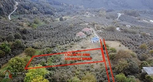 Arsa-Konut İmarlı