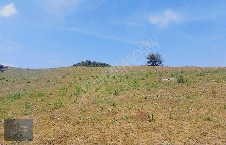 Arsa-Bağ & Bahçe