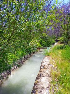 Arsa-Bağ & Bahçe
