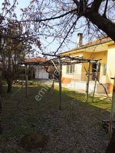 Konut-Müstakil Ev