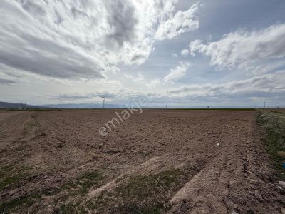 Arsa-Tarla