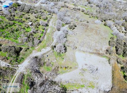 Güzelhisar'da Satılık Zeytinlik