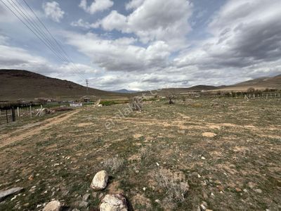 Arsa-Bağ & Bahçe