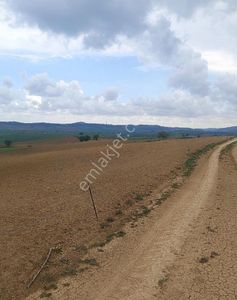 Arsa-Tarla