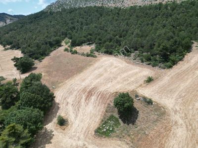 Arsa-Tarla