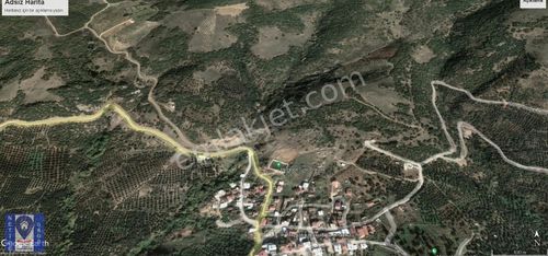 Arsa-Tarla