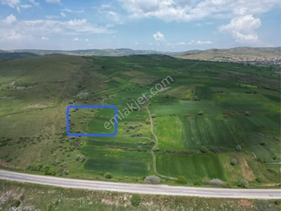 Arsa-Tarla
