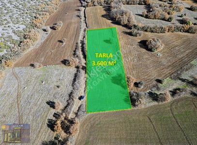 Arsa-Tarla